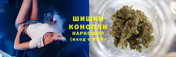 твердый Иннополис