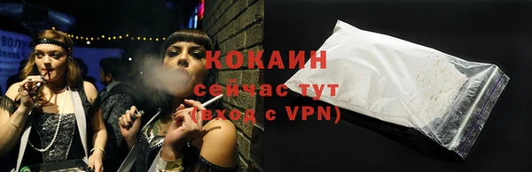 твердый Иннополис