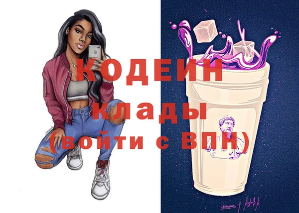 твердый Иннополис