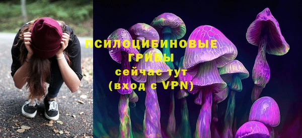 мескалин Инсар