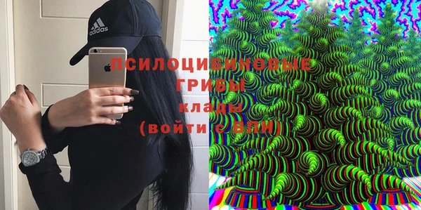 мескалин Инсар