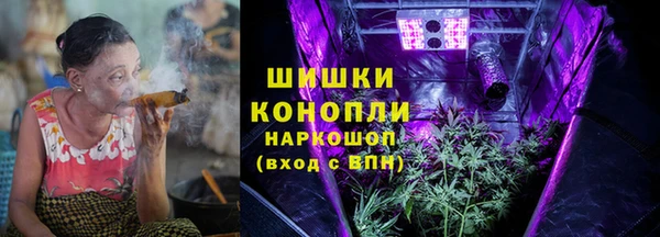 твердый Иннополис